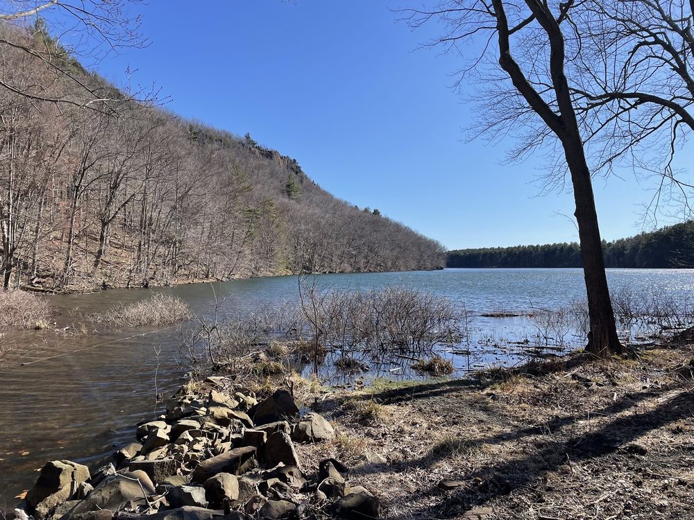 GIUFFRIDA PARK Updated September 2024 110 Photos & 35 Reviews 800