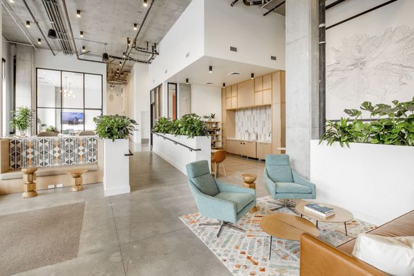 The Overland by null