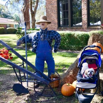 Micanopy - Local Flavor Near Me