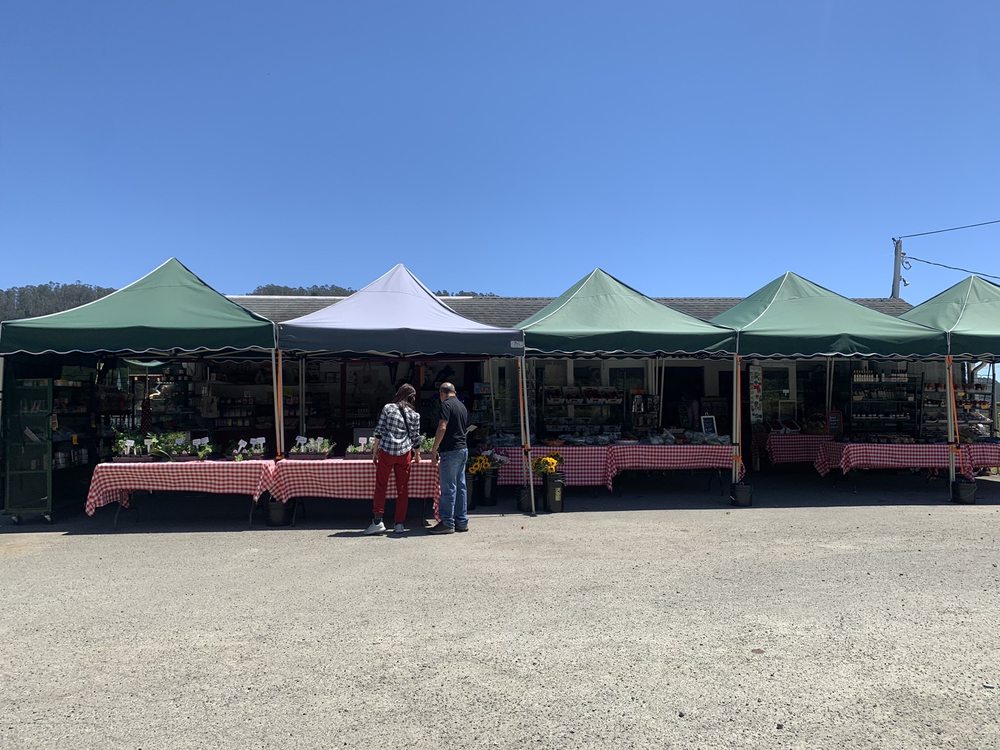 COZZOLINO PRODUCE STAND Updated September 2024 15 Photos 12599