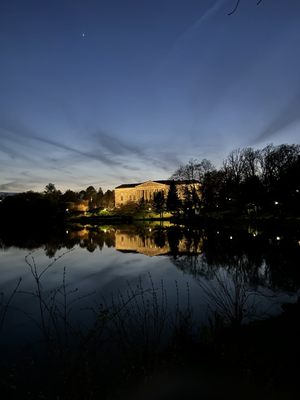 Japanese Garden by null