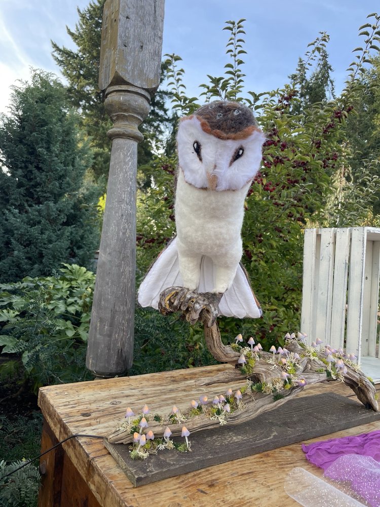 Mt Hood Center - equestrian in Boring, OR