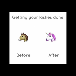 2TwentyThree Lash Bar