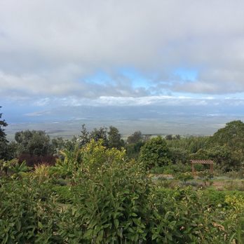 Ali'i Kula Lavender - Tours Near Me - Kula, Hawaii