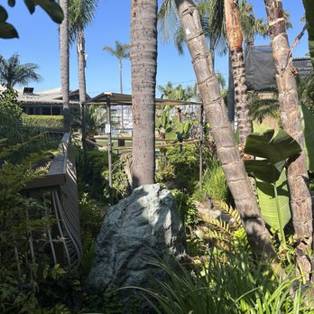 Humphreys Half Moon Inn - Little bird sanctuary - San Diego, CA