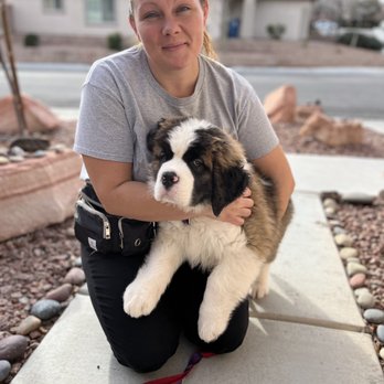 Evolution Dog Training - puppy cuddles - Pet Training Near Me Evolution Dog Training - puppy cuddles - Pet Training Near Me