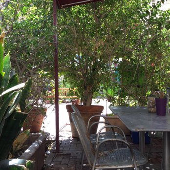 Desert Roots Kitchen - Outdoor seating - Vegan Near Me - Tempe, Arizona