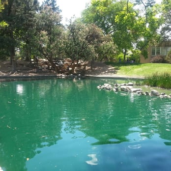UNM Duck Pond - Rock garden - Parks Near Me - Albuquerque, New Mexico