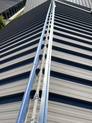 Israel Professional Roofer