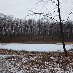 Boyd Big Tree Preserve Conservation Area