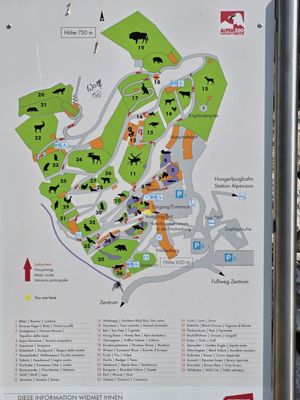 Alpenzoo Innsbruck - Tirol by null