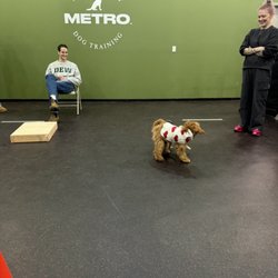 Metro Dog Training - Puppy socialization and obedience training programs available.