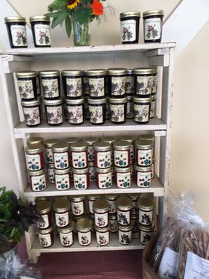 Montgomery Place Orchards by null