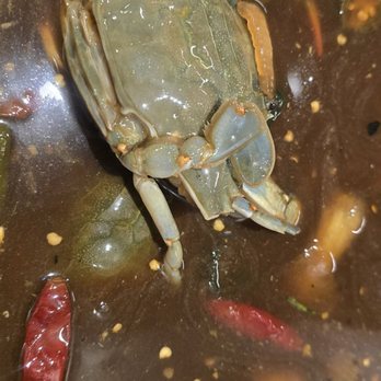 K Project Sushi - RAW blue crab soup.  Who eats raw crab? - Sushi Bars Near Me - Centreville, Virginia