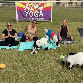 Goat Yoga - Yoga Near Me Goat Yoga - Yoga Near Me