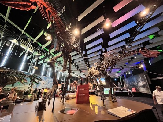 Science Museum of Virginia by null