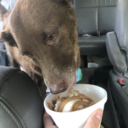 Doggy ice cream