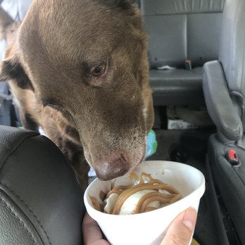 Vanderwende's Creamery - Doggy ice cream - Ice Cream & Frozen Yogurt Near Me - Greenwood, Delaware