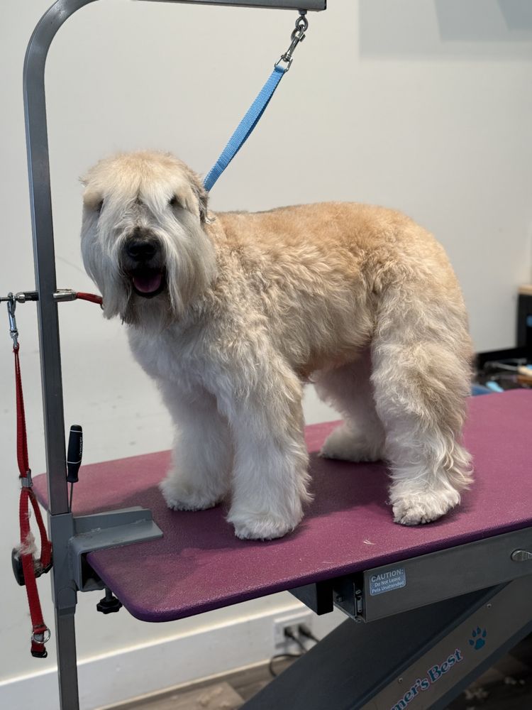 o Jupiter Florida Real Estate For Sale