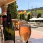 Photo of Cava Freixenet