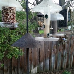 Wild Birds Unlimited 31 Reviews Bird Shops 692 Contra Costa