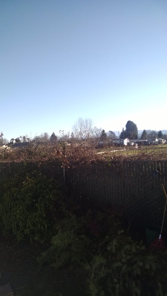 MYRA LYNNE MOBILE HOME PARK Updated September 2024 924 Carol Rae