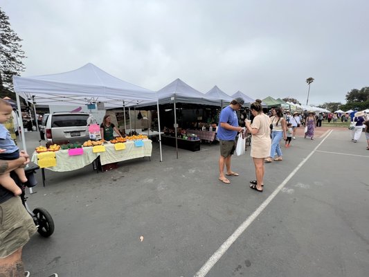 Leucadia Farmers Market by null