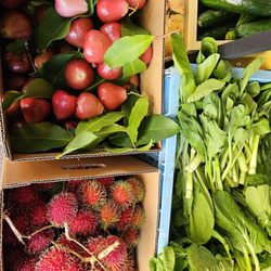 Mountain apple, rambutan, and more!