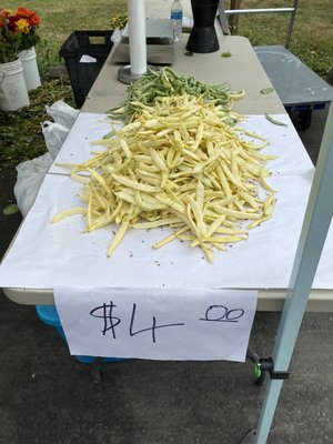 Issaquah Farmers Market by null