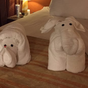 Carnival Elation - Animals are made nightly by the Steward - Tours Near Me