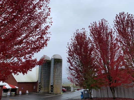 Oregon Heritage Farms by null