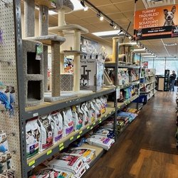 Pet Central - Cat food and cat trees