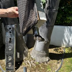 Aussie Grill Clean - rats moving out.