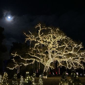 Holiday Road - Lighted tree - Festivals Near Me - Calabasas, California Holiday Road - Lighted tree - Festivals Near Me - Calabasas, California