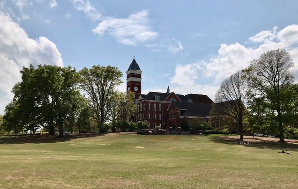 Clemson University by null