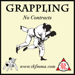 Tactical Kung Fu and Mixed Martial Arts - Learn Grappling!