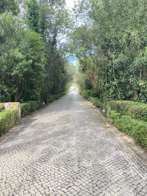 Hotel Quinta das Lágrimas by null