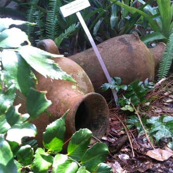 Discovery Gardens - Pot - Rehabilitation Center Near Me