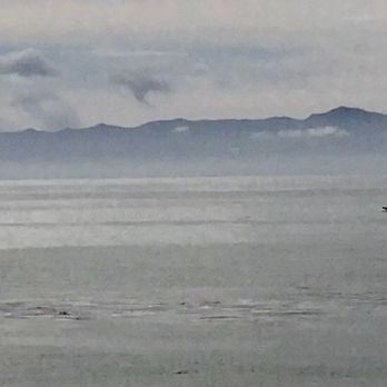 Campus Point Beach - Whale tail in the distance near Channel Islands - Beaches Near Me - Goleta, California