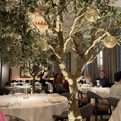 Sparrow Italia - Mayfair