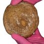 Photo of Ryanns Cookies
