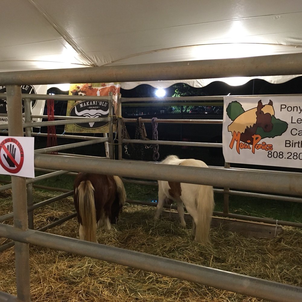 Maui Fair - Festivals Near Me - Wailuku, Hawaii Maui Fair - Festivals Near Me - Wailuku, Hawaii