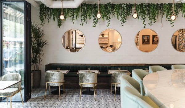 Crudo Ceviche & Oyster Bar by null