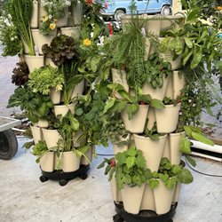 Tree Amigos Growers
