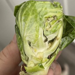 Raley's