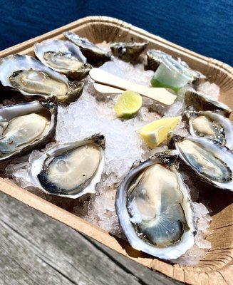 Grassy Bar Oyster Company by null