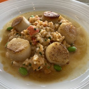 View - East Coast Diver Scallops* - Seafood Near Me - Oakdale, New York View - East Coast Diver Scallops* - Seafood Near Me - Oakdale, New York