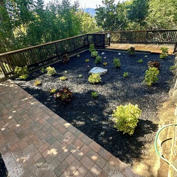 Zuniga's Tree Service - Complete overhaul of backyard - Landscaping Near Me - Los Angeles, California Zuniga's Tree Service - Complete overhaul of backyard - Landscaping Near Me - Los Angeles, California