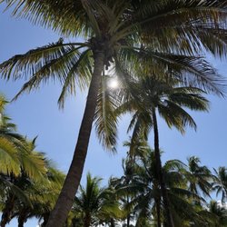 Lummus Park on South Beach
