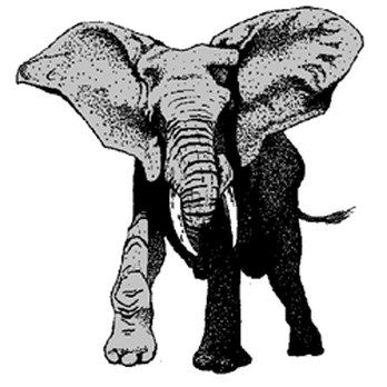 Elephant Builders - General Contractors Near Me - Corvallis, Oregon